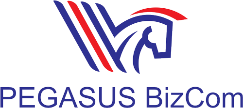 Pegasus Biz.com